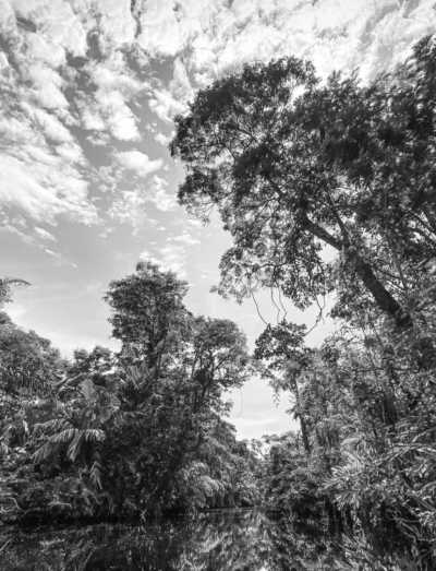 Costa Rica - Tortuguero - Caribbean Delights: A Journey through Costa Rica - 3