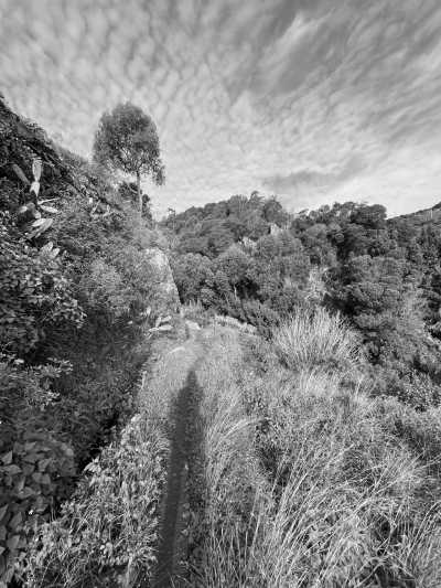 Portugal - Caniço de Baixo - High-End Coliving close to Funchal with Guaranteed Adventure, Nature and Fun on the Dream Island of Madeira 🌴 (Large Single Room with Queen Size Beds) - 16