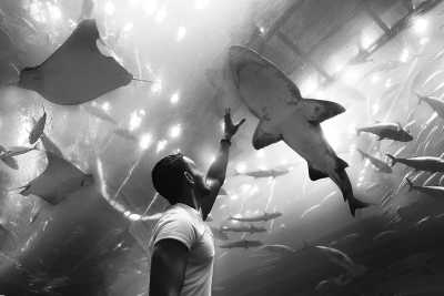 United Arab Emirates - Dubai Aquarium & Underwater Zoo - Vacation in UAE - Visit Dubai and Abu Dhabi