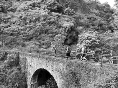 Portugal - Boca da Encumeada - Coworkation, Coliving and Adventurous Hiking Trip with a Knowledgeable expat on the dream island of Madeira (Single rooms) - 14