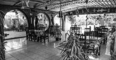 Ägypten - Luxor - Egypt: Horse Riding Adventures in Luxor - 3