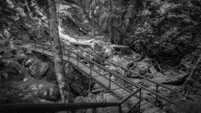 Germany - Lainbach-Wasserfall - Herzogstand - Heimgarten Ridge | A Magical Experience | Walkshop Light | German Alps | - 3