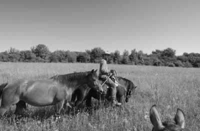 Romania - Cutuș - Romania On Horseback - Horses and Unforgettable Memories - 2