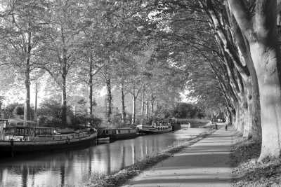 France - Toulouse - Coworking in the pink city of TOULOUSE, FRANCE 🇫🇷 live like a local and practice your French - single room shared bathroom - 2