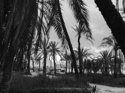 Ägypten - Siwa Oasis - The Pyramids and beyond: from Cairo to remote Siwa oasis in the Western Desert - 16