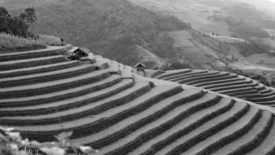 Vietnam - Trekking Mu Cang Chai: Discover the Magnificent Rice Terraces of Northern Vietnam - JoinMyTrip