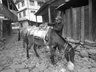 Nepal - Jagat - Manaslu Circuit Trek - With Subash Gurung