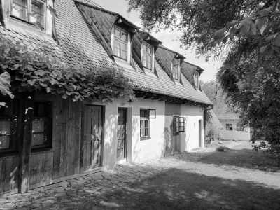 Romania - Viscri - Transylvanian Expedition Chapter One: Step into The Legends of Transylvania - 4