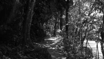 Colombia - Río Claro - Enjoy Medellin "City of Eternal Spring", Colombia ⛰️: Cool off in a clear river,  Immerse yourself in the Colorful Paisa Culture and Delight Yourself with the Best Coffee ☕ and a Crispy Chicharrón 🐽! - 13