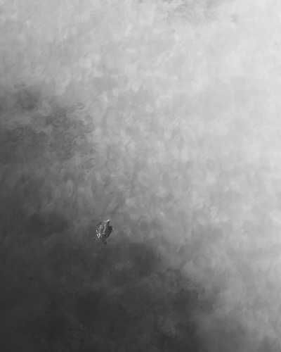 Tanzania - Baraka Natural Aquarium - Nungwi - 🚗 Road Trip and Holiday Escapade In Zanzibar, Tanzania (Nungwi, kendwa and Stone Town) - 3