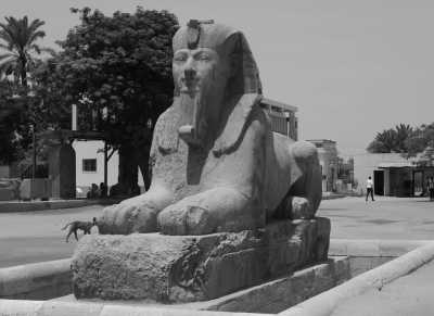 Ägypten - Al Giza - Over 40 trip - Luxury and Culture in Egypt - Il Cairo, The Pyramids and so much more - 3