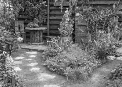 Philippines - Sirao Garden - Experience Cebu: Unleash the Adventure! - 1