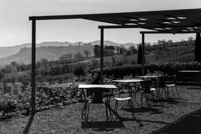 Italien - Orvieto - 🇮🇹Italy’s Green Heart💚, Slowly Savoured🍝🍷VII EDITION - ✨Luxury Stay🌿Wild Nature🏰Medieval Towns📍Traditions🤤Unique Flavors | Local Italian Coordinator +23 Group Trips hosted! - 9