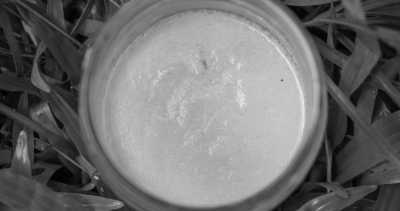 Costa Rica - La Gamba centro - Co-working und Volunteering im Regenwald Costa Ricas - 20