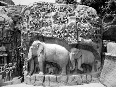 India - Mahabalipuram - The hidden gems of South India: Mahabalipuram, Pondicherry and Auroville. A prefect blend of culture, heritage, beaches and human unity! (Shared Room Price) - 8