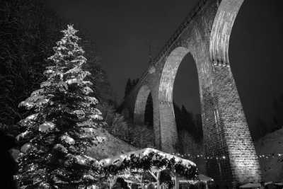 Germany - Freiburg im Breisgau - 🎄🌟 Black Forest Christmas Markets 🌟🎄 - 2