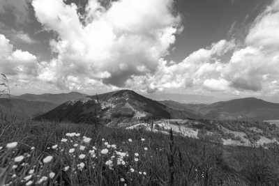 Slowakei - Horsky Hotel Kralova studna - Wilderness and Tranquility: Hiking Adventure in Great Fatra National Park in Slovakia - 11