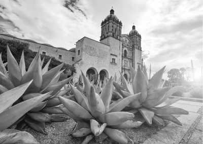 Mexico - Oaxaca - Getting around Mexico Cities: 9 Days Photo Tour - 2