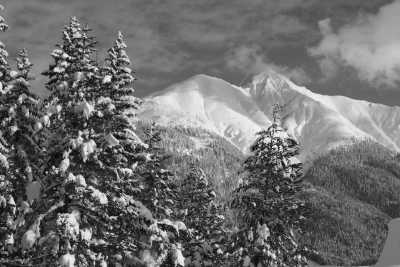 Austria - Snow trip to Austria with my huskies 🐾❄️ Winter hikes | Skiing | Tobogganing - JoinMyTrip