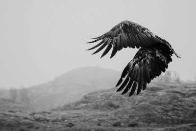 Norway - Svolvær - Road Trip to Lofoten - Scenic Drives, Views and Hikes - Norway - 3