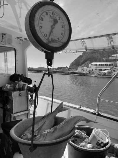 Greece - Άγιος Νικόλαος - Ultimate Zen on the hidden Anafi, Greek island: One of Greece's best kept secrets (Private Room-Single) - 3