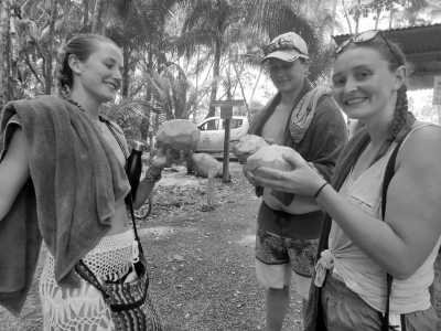 Costa Rica - Playa Hermosa - Explore Costa Rica and the true meaning of "Pura Vida" with a local! (Guided Trip) ☀️ - 1