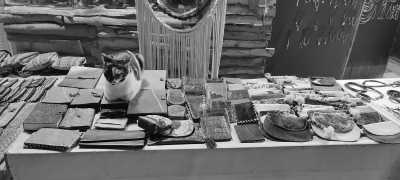 Egypt - Dahab - Discover the Great Pyramids and get the Diving Open Water Course in Dahab, Egypt - 2