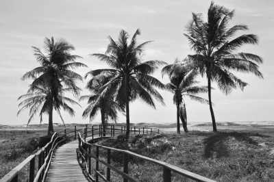 Brazil - Atalaia - Coastal Wonders: Salvador to Aracaju Escape in Brazil - 2