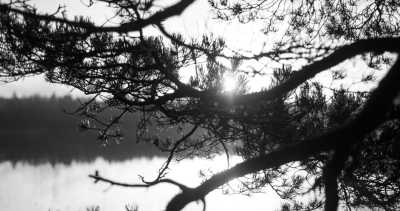 Sweden - Jonsered - Schweden - Natur pur - Gotaleden - mit Zelt + Städtetrip