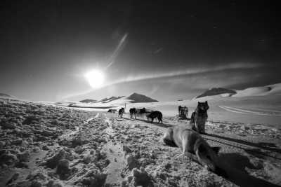 Svalbard - Longyearbyen - SVALBARD - THE NORTH IS CALLING