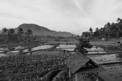 Indonesia - Munggu - Co-Living / Staycation in Bali 🇮🇩 🏝 - 7