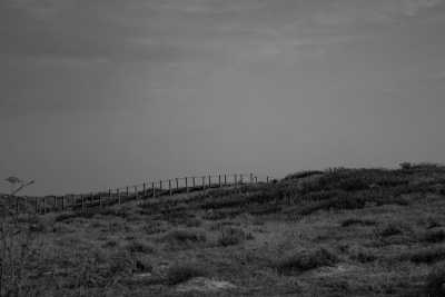 Southern Europe - Quinta da Quinhas - A Slow and Soulful Walk on the Portuguese Coastal Camino - 3