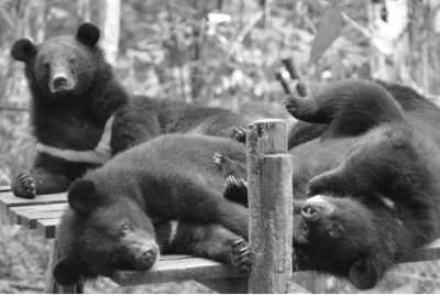 South-eastern Asia - Luang Prabang - Charming Laos & Magnificent Cambodia: 12 days of nature, history and adventures - 3