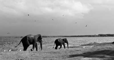 Sri Lanka - Tissamaharama - Erkundung in Sri Lanka