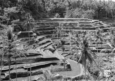 Indonesia - Ubud - CoWorking retreat in Bali! ☀️ Yoga🧘🏻‍♀️, FREE Balinese Massage 🌼, & hidden gems with a local 🏝️ (Stay in Seminyak and Ubud - Private bedroom option) - 2