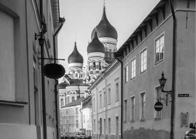 Estonia - Tallinn - Weekend winter Trip Christmas Markets and National Park in Talinn, Estonia - 1