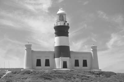South Africa - Gansbaai - Südafrika: Das Biospärenreservat Krüger / Blyde River und die Kapregion - die wilden Tiere warten - 2