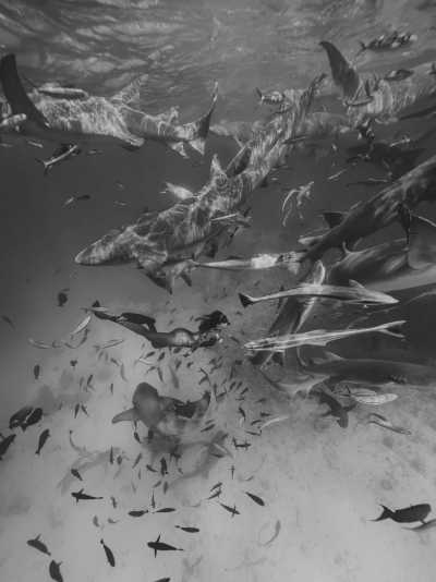 Malediven - Fulidhoo - 10 Days Maldivian Adventure Awaits! - 5