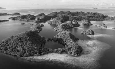 Indonesien - Pulau Wofoh - Raja Ampat YOGA Liveaboard Escape to Explore the 5 Great Magical Diving Spots - 4