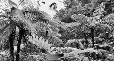 Portugal - São Miguel - Azores - WaterWellness, OceanLife & Volcanic treasures - 7