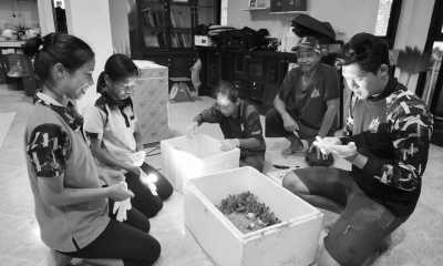 Thailand - Khao Lampi–Hat Thai Mueang National Park - Co-living/Volunteering Trip, Taking care of baby turtles🐢❤️ at National Park in Phang Nga, Thailand. - 2