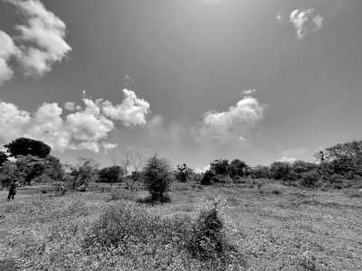 Tanzania - Makunduchi - Zanzibar Coworking Experience: Your Journey Starts Here - 1