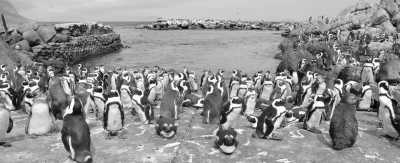 Südafrika - Cape Town - 🌞Ultimate 10-Day South Africa Road Trip🇿🇦Cape Town & The Garden Route – 🌊Adventure, Nature & Epic Vibes! - 10