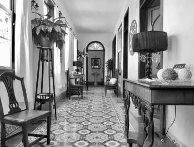 Spain - Los Realejos - LAST SPOT!!! Unveiling The Authentic Side of Tenerife: Food, Teide Sunsets, Banana plantations and many local experiences with an Experienced Trip Coordinator who lives in Spain! - 5