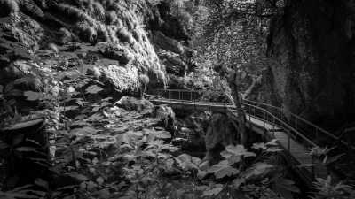 Deutschland - Starzlachklamm - A Magical Experience | Walkshop | Allgäu | Fellhorn Ridge | German Alps | 4 days - 2