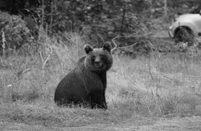 Europa - Lake Vidraru - Motorcycle Adventure Tour - Balkans - Croatia - Bosnia and Herzegovina - Serbia - Romania - Montenegro