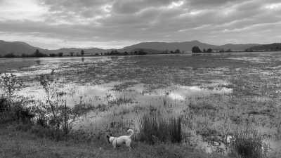 Georgien - Aghvi Camping • კემპინგი აღვი - Roadtrip durch Georgien / Imeretien - 3