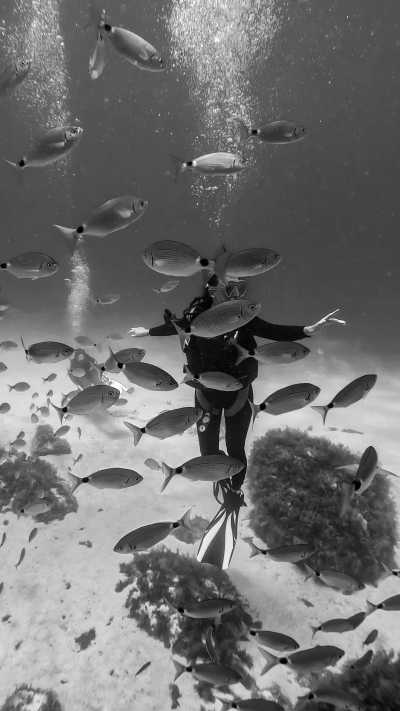 Malta - Gozo - Come Diving with Me to Malta (Gozo Island) - 1