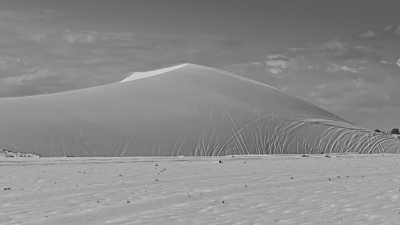 Vietnam - Mũi Né - Adventure Unleashed: Jeep Tour in Mui Ne and Freediving in Phu Quy island, Vietnam - 2