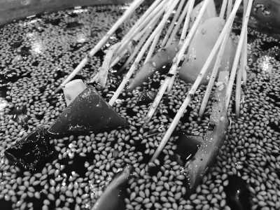 China - Leshan Giant Buddha - Discover Chengdu: Exploring the Panda City in China - 3